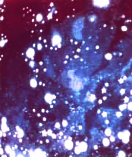 "Stars" Neon-Effekt Teppich