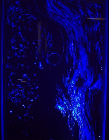 Wasserspiel blau