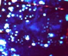 Leuchtteppich Stars