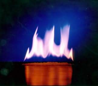 Filmfeuer Paste